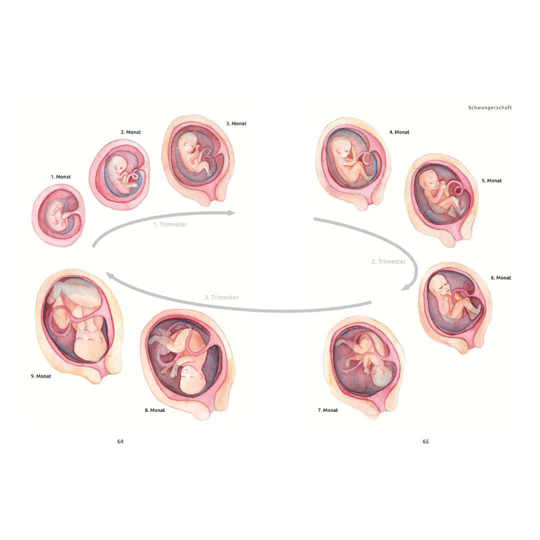 Richtig Schwanger, Dr.med. Konstantin Wagner