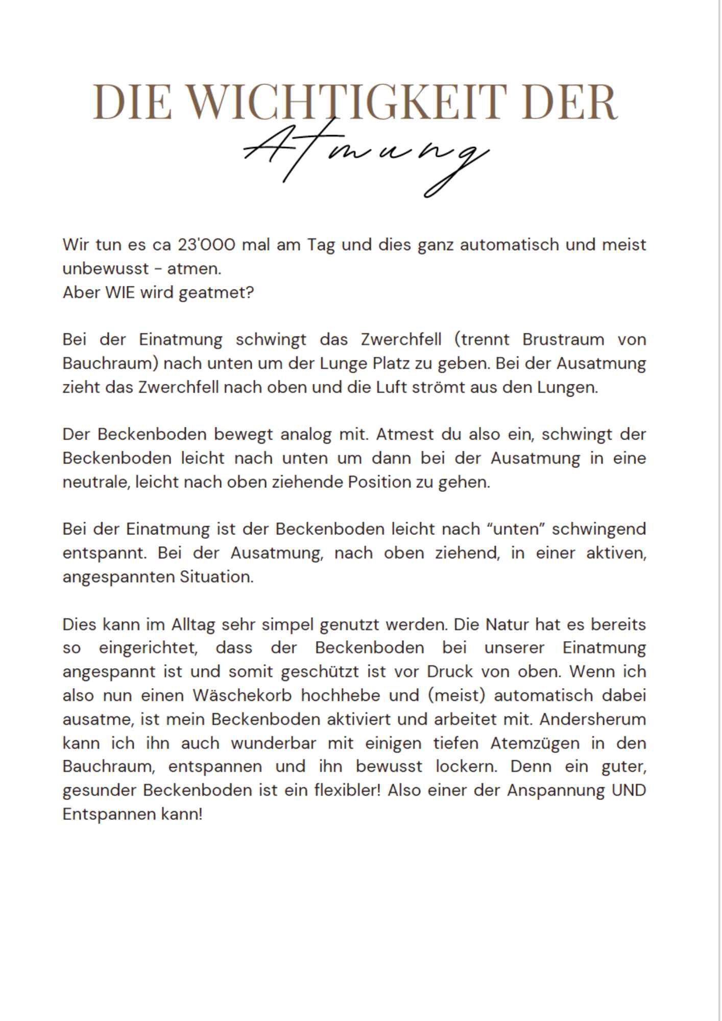 "Beckenbodentraining by the way", Workbook