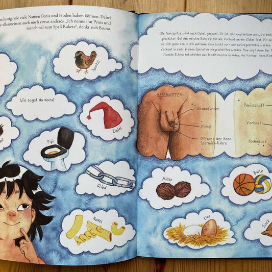 Bruno will hoch hinaus, Bilderbuch/Vorlesebuch